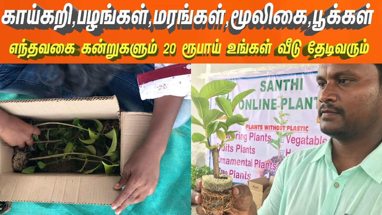 M.E பட்டதாரியின் அசத்தல்  நானோ என்ற புதிய தொழில்நுட்பத்தில் எந்தவகை கன்றுகளும் 20 ரூபாய்