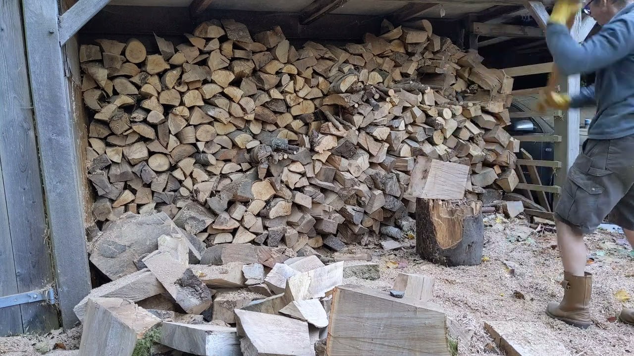 Vintage Canadian Axe splitting knotty hardwood.. perseverance required! #axe #axemanship #firewood