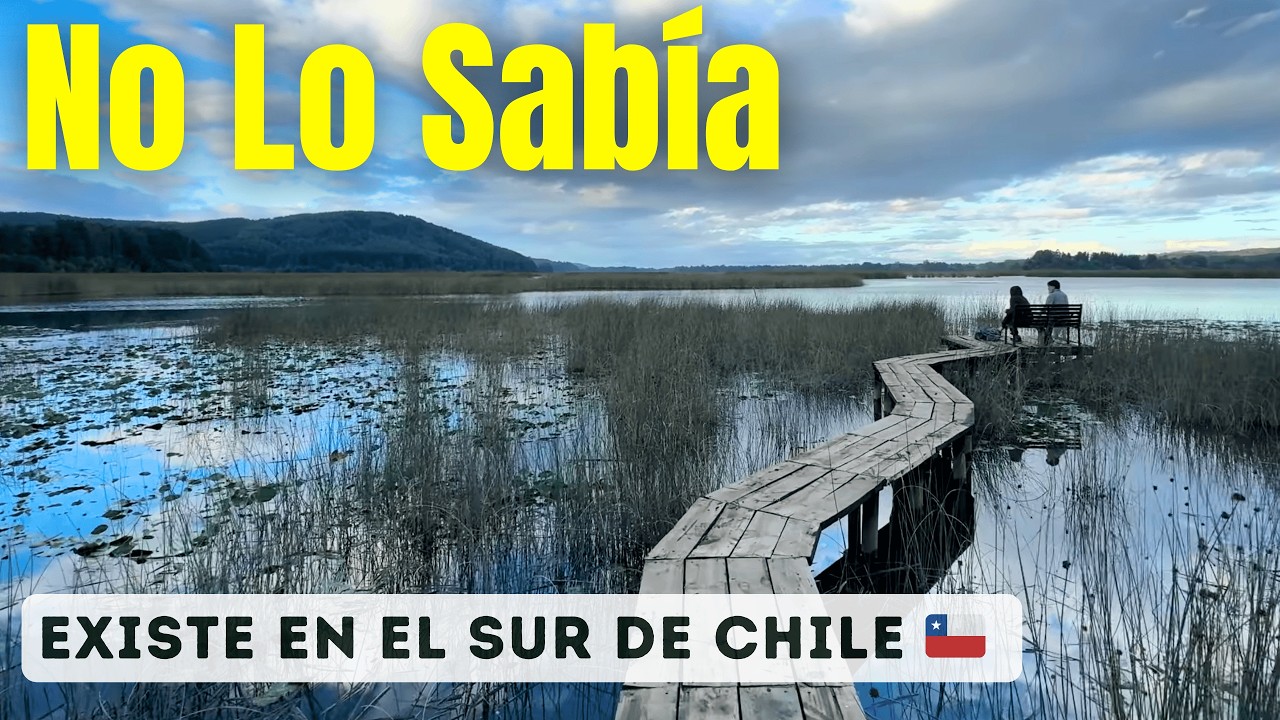 Punucapa La Joya Escondida de la Selva Valdiviana, Chile
