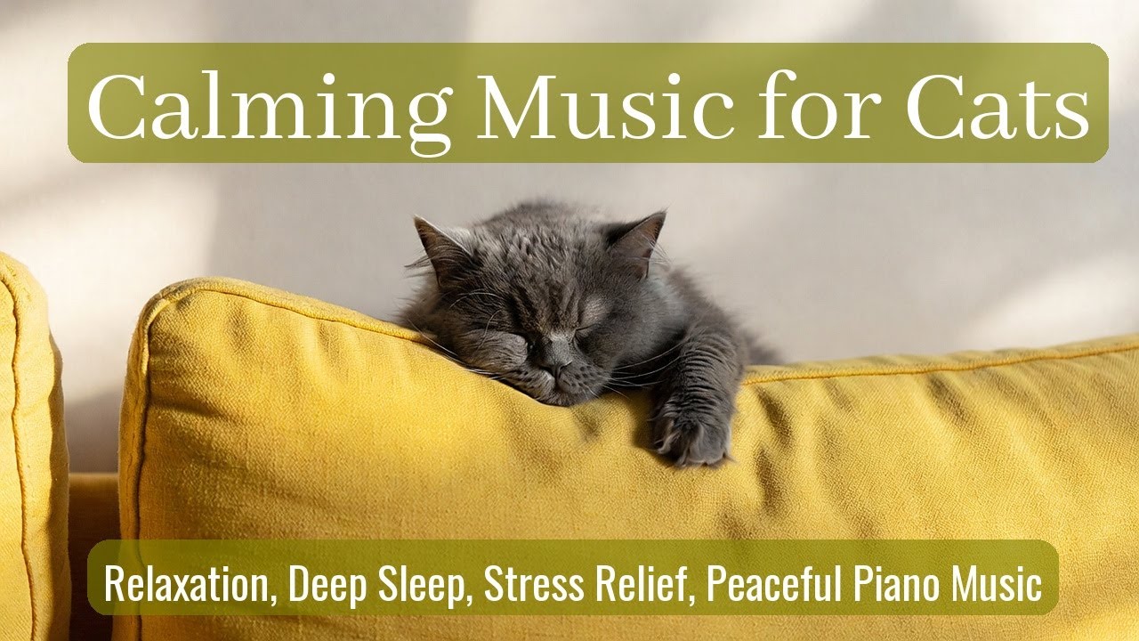 Calming Music for Cats - Relaxation, Deep Sleep, Stress Relief, Peaceful Piano Music | Season 54