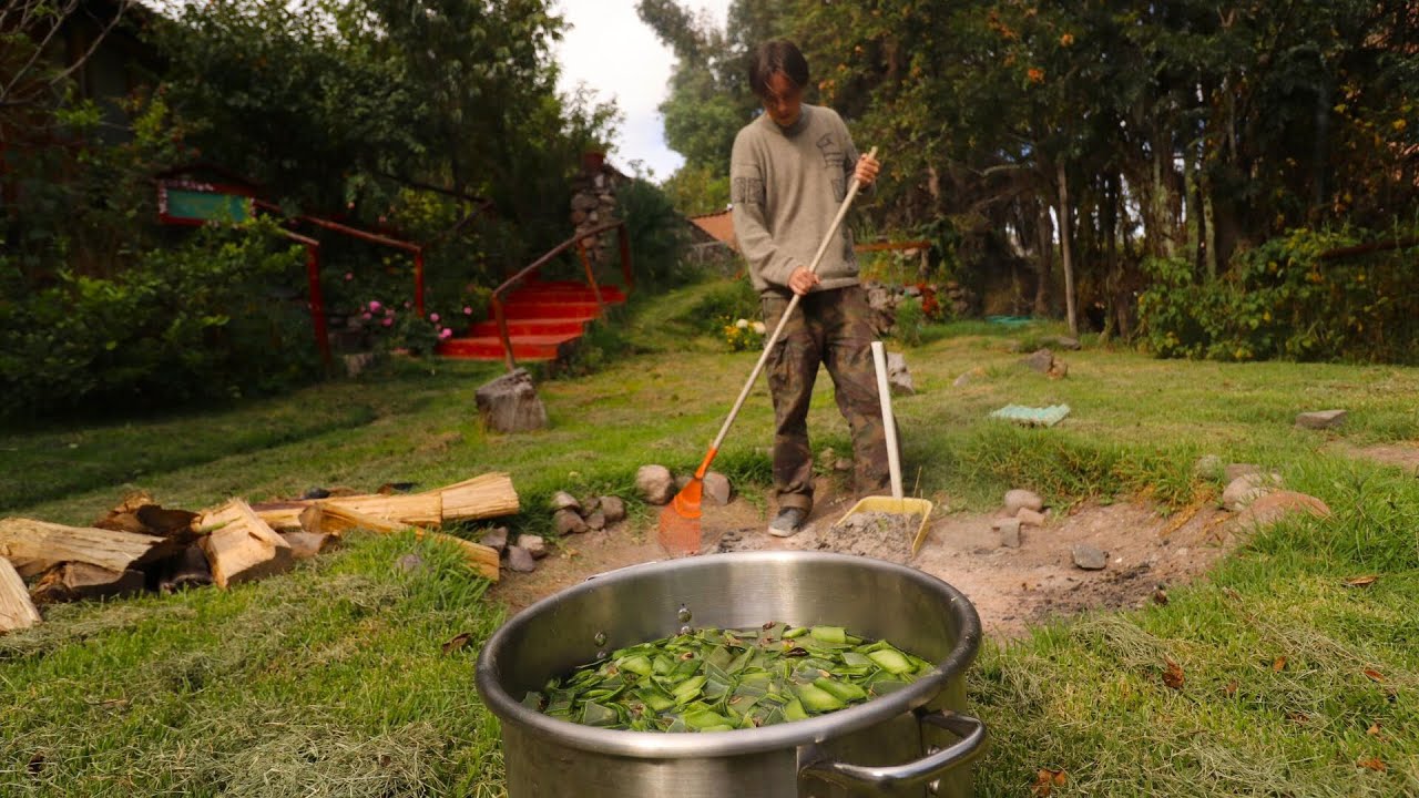 Preparing The Magic Huachuma Cactus 🌵