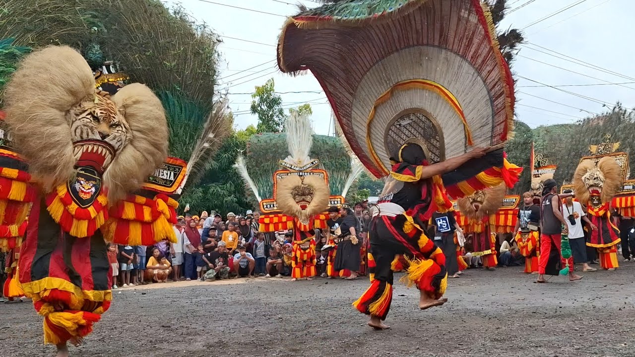 Atraksi Keren ‼️Reog Ponorogo Barongan Singo Sari Budoyo 
