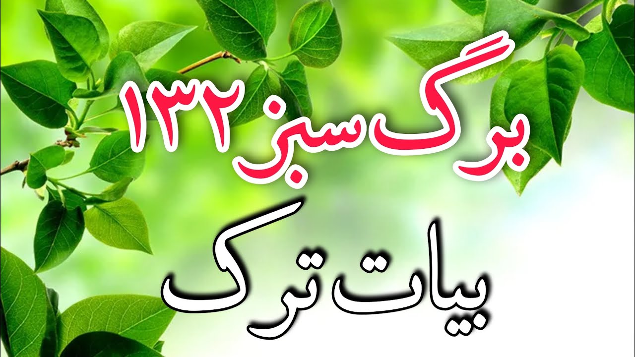 برگ سبز شماره 132