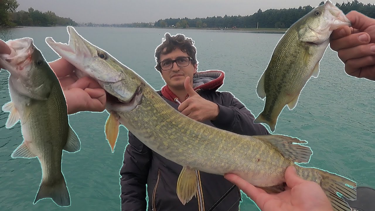 Il Mare di Milano è PIENO DI PESCI!!! Pesca ai Predatori all'IDROSCALO