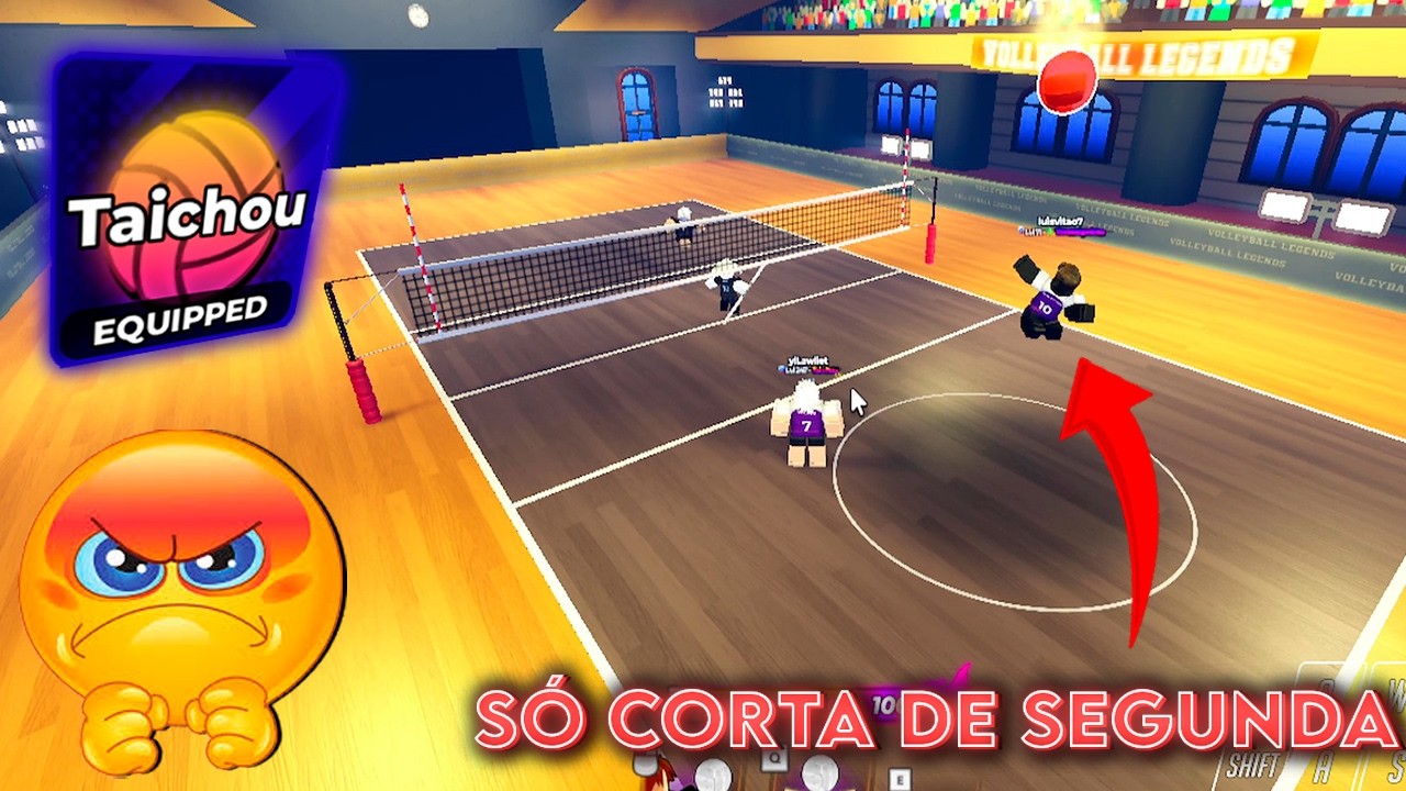 SETTANDO PROS CRIA!!   Volleyball legends