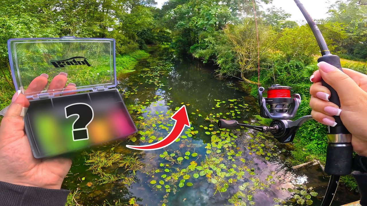 Cette boîte MYSTÈRE de pêche CARTONNE dans cette petite rivière… (Énorme poisson surprise)
