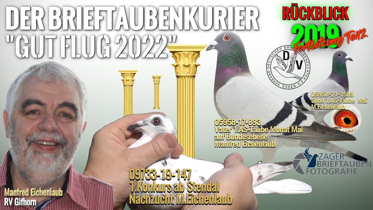 Der Brieftauben Kurier 01/22-Das Jungtaubenjahr 2019 - Teil 4 - mit Eichenlaub-Tauben zum  1.Konkurs