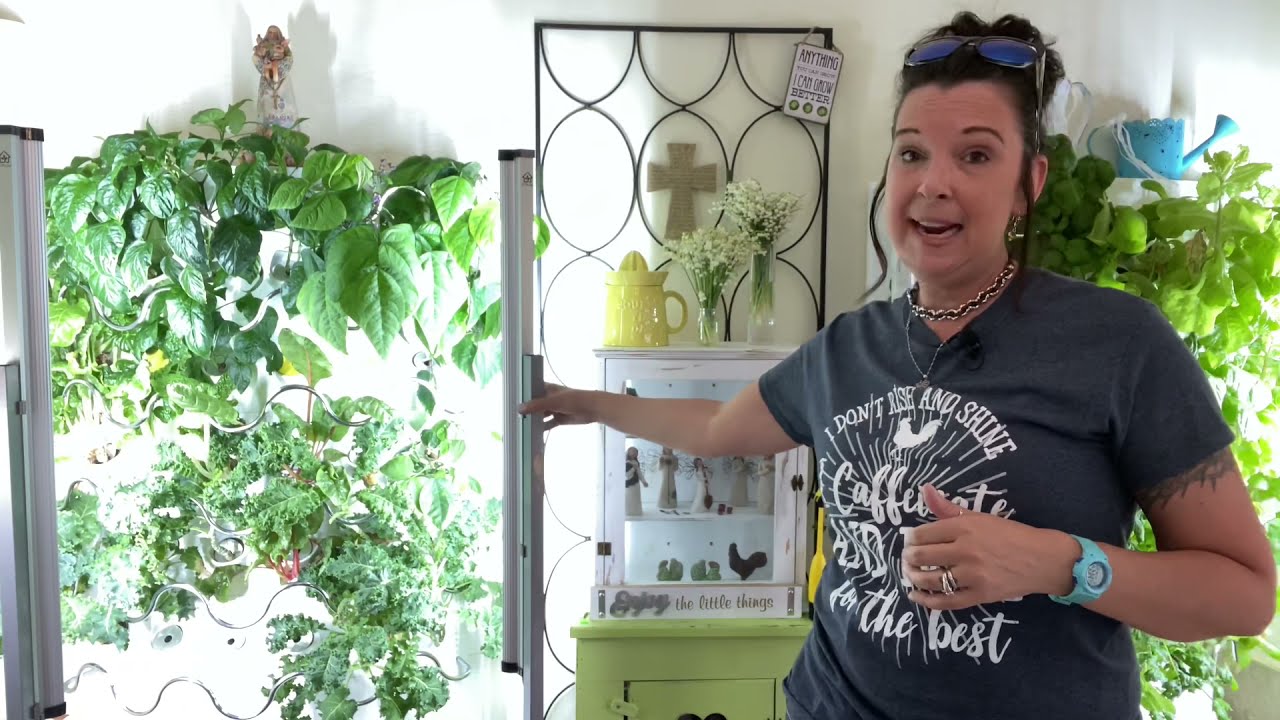 AeroGarden Vs iHarvest - Which one is better?