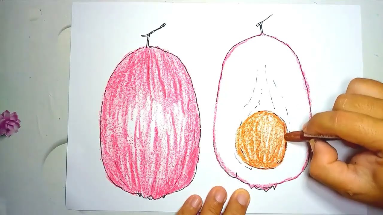 Menggambar dan Mewarnai Buah Jambu Bol