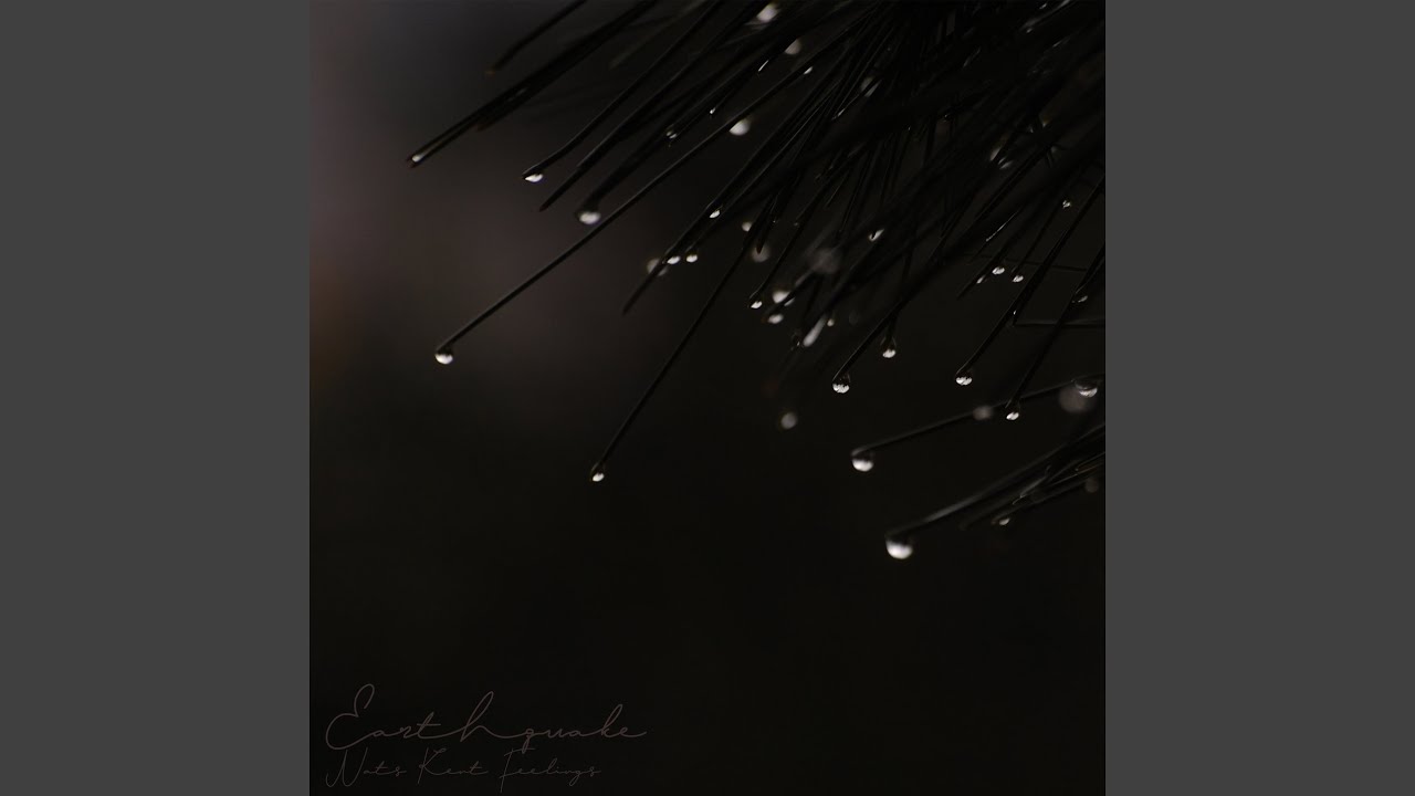Light Wood