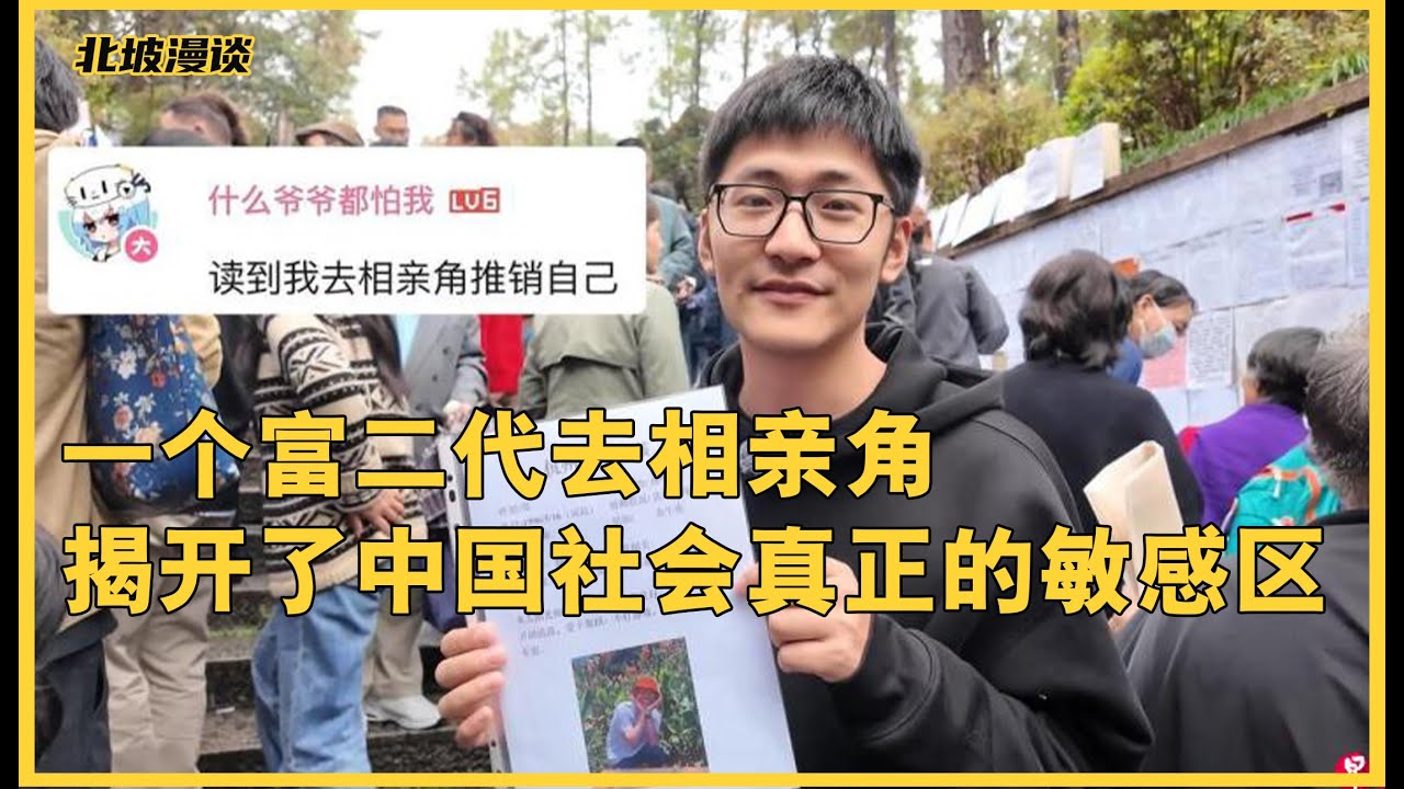 人人都在骂 Tim，但没人敢说真正的问题是什么  影视飓风 Tim  潘天鸿 相亲 富二代  人民公园相亲角