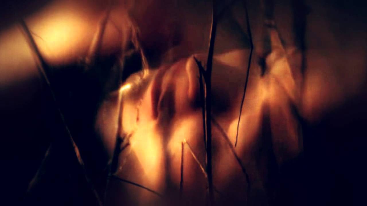 LokixDarcy; I still love him