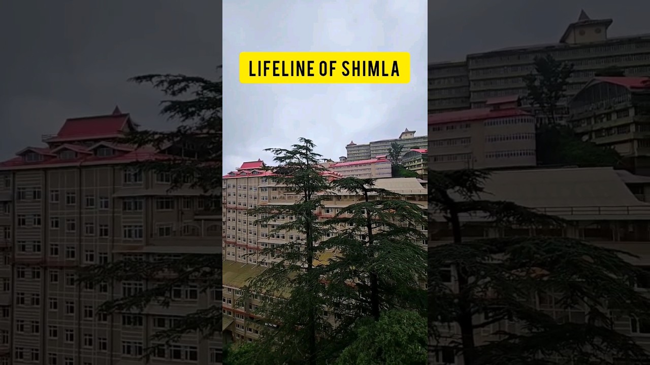 IGMC hospital | Snowdown | Lakkar Bazaar               #igmc #shimla
