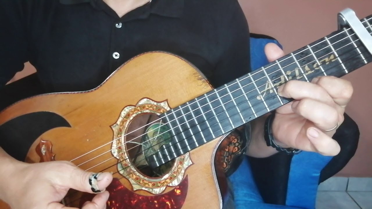 TUTORIAL LA PALMERA