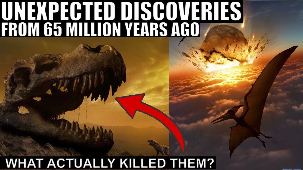 Evidence Shows We Don't Really Know What Killed The Dinosaurs