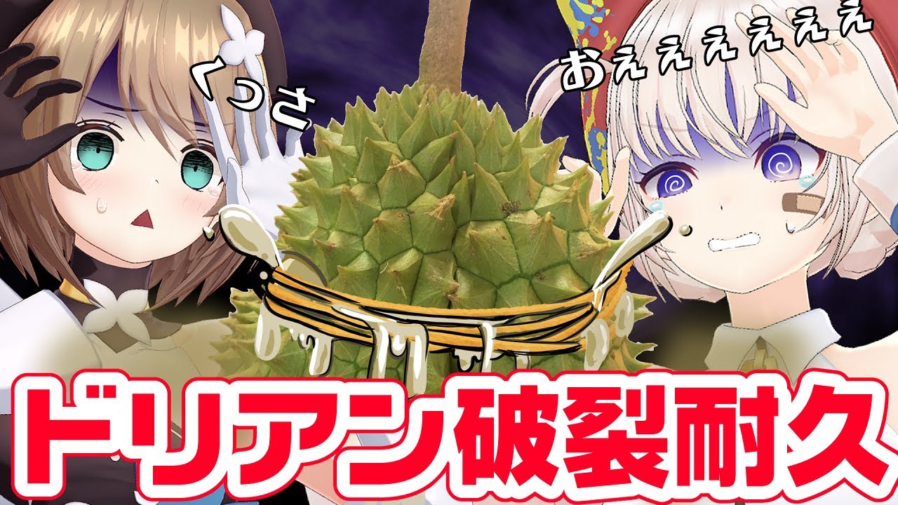 【実写配信】くっさぁ♡ドリアンを輪ゴムで割る。【#しろこま】