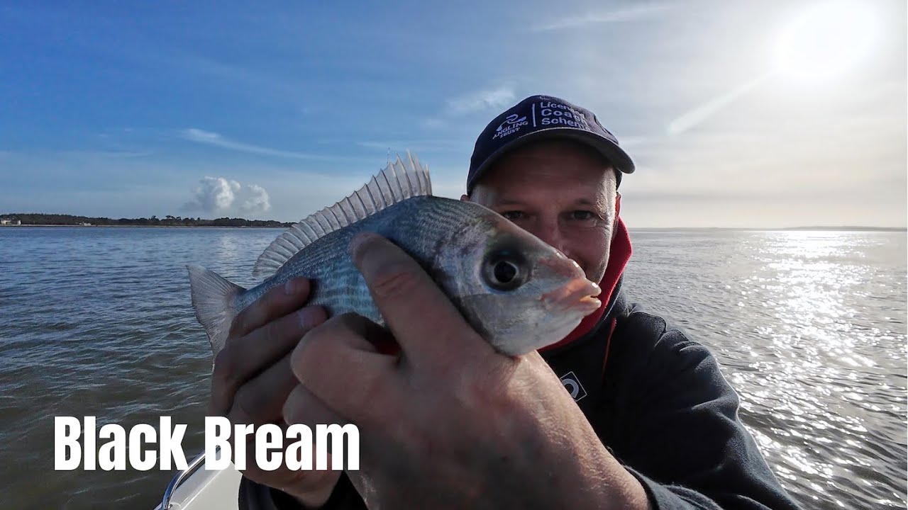 Small Boat Fishing - Black Bream