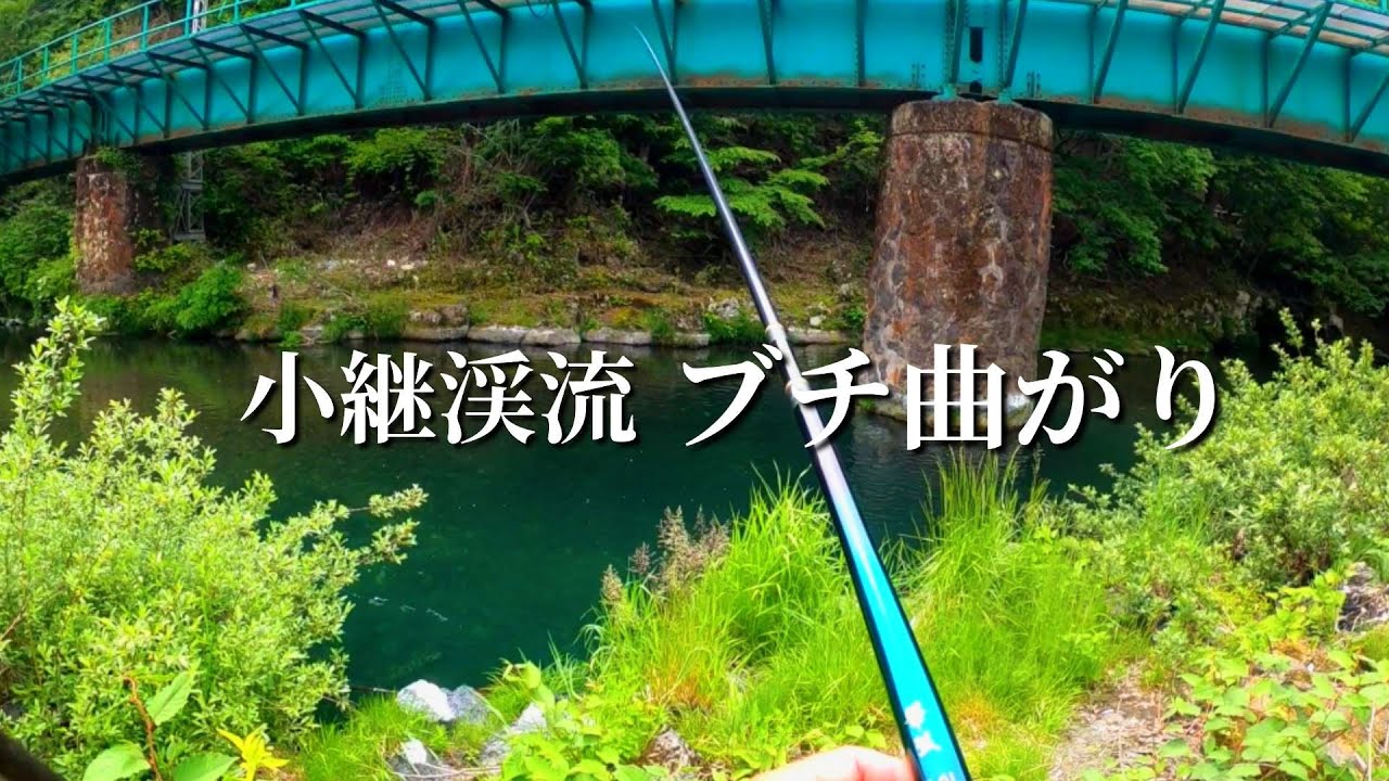 【渓流釣り】【餌釣り】大物が掛かった。
