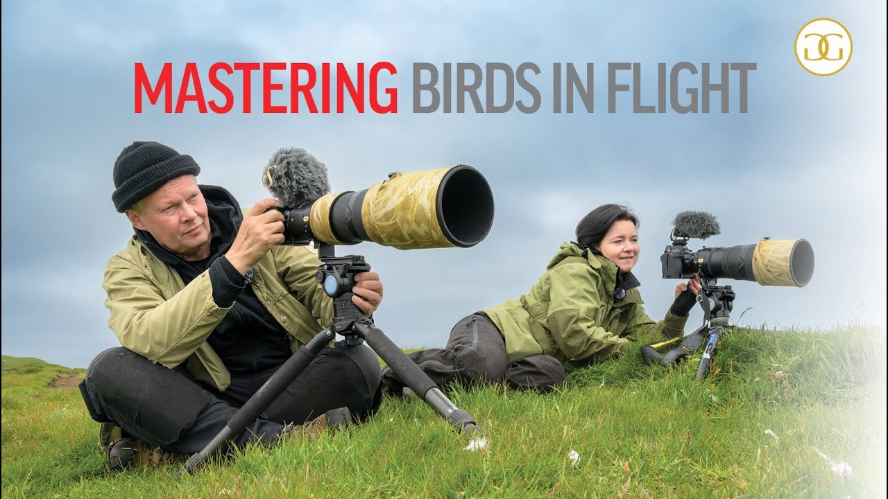 PHOTOGRAPHING BIRDS-IN-FLIGHT | How to get the shot