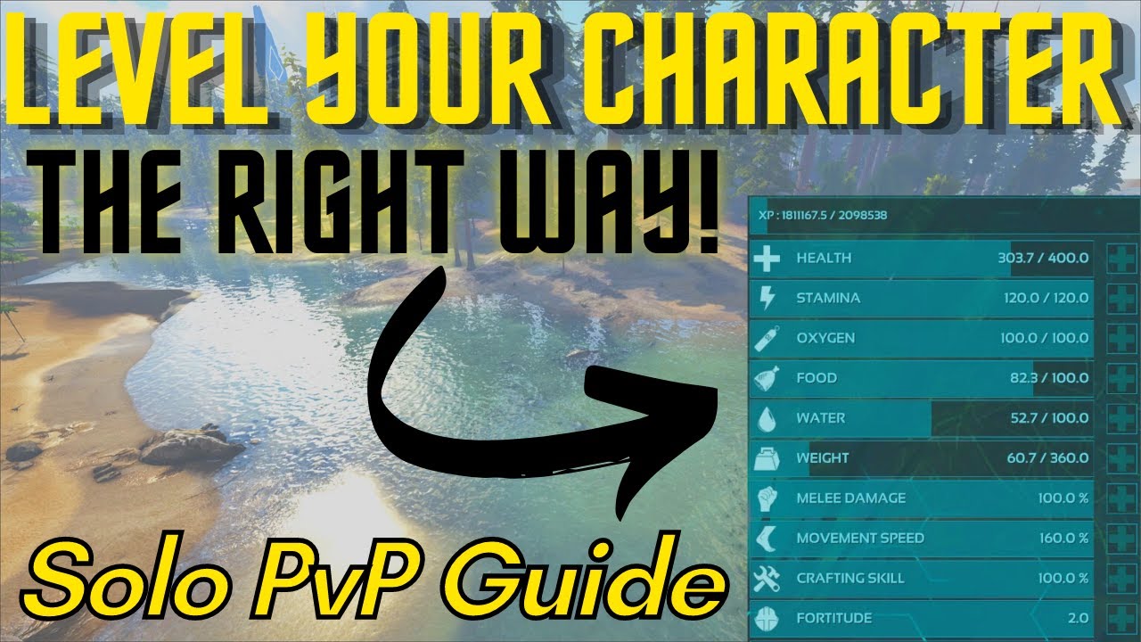 How to Build & Level Your Character | Solo PvP Guide