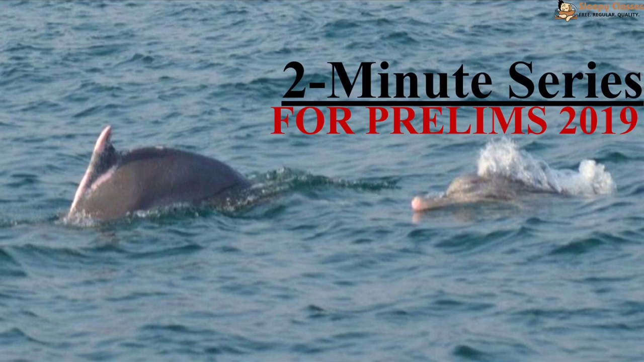 2 Minute Series - Environment - Dolphin Census || Prelims 2019
