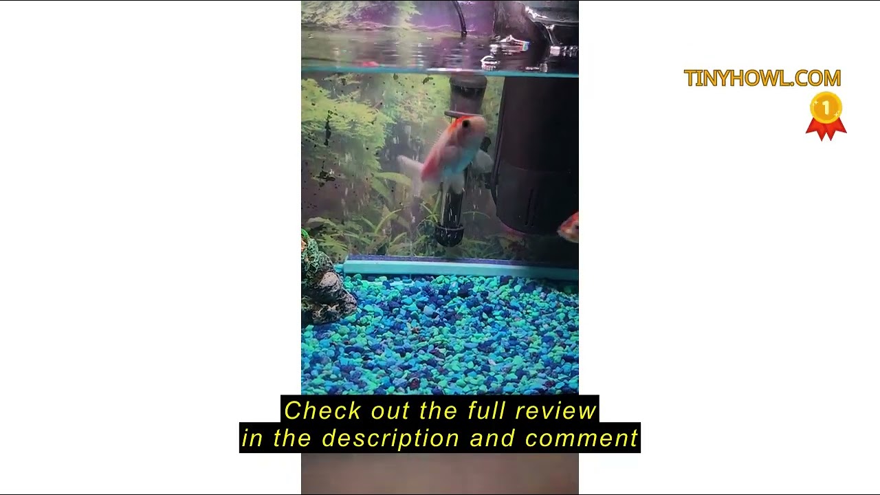 Review Pawfly 5 W Aquarium LED Light 8 Inch 24/7 Fish Tank Light with Full Spectrum Brilliant White