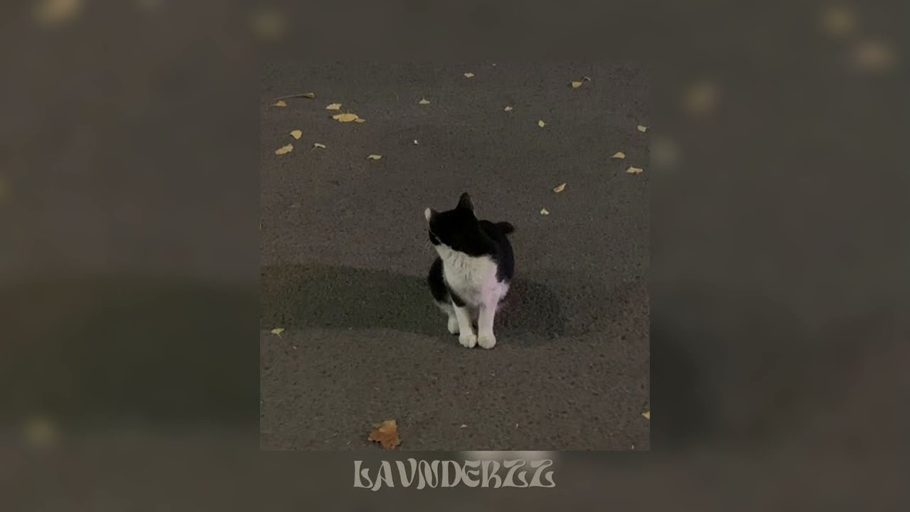 david kushner - daylight (sped up)
