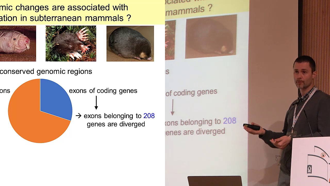 Michael Hiller - Identifying Genomic Changes