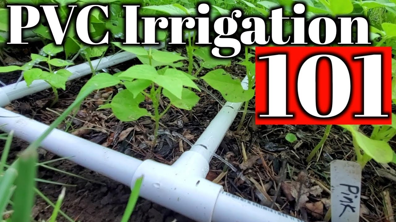 How To Build PVC Irrigation-Complete Guide with Tips For Your Garden