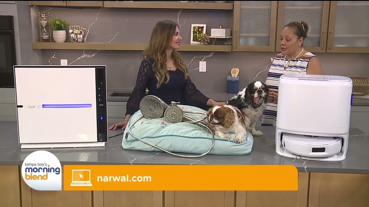The Pet Buzz | Clean Air is Important for Pets Too!