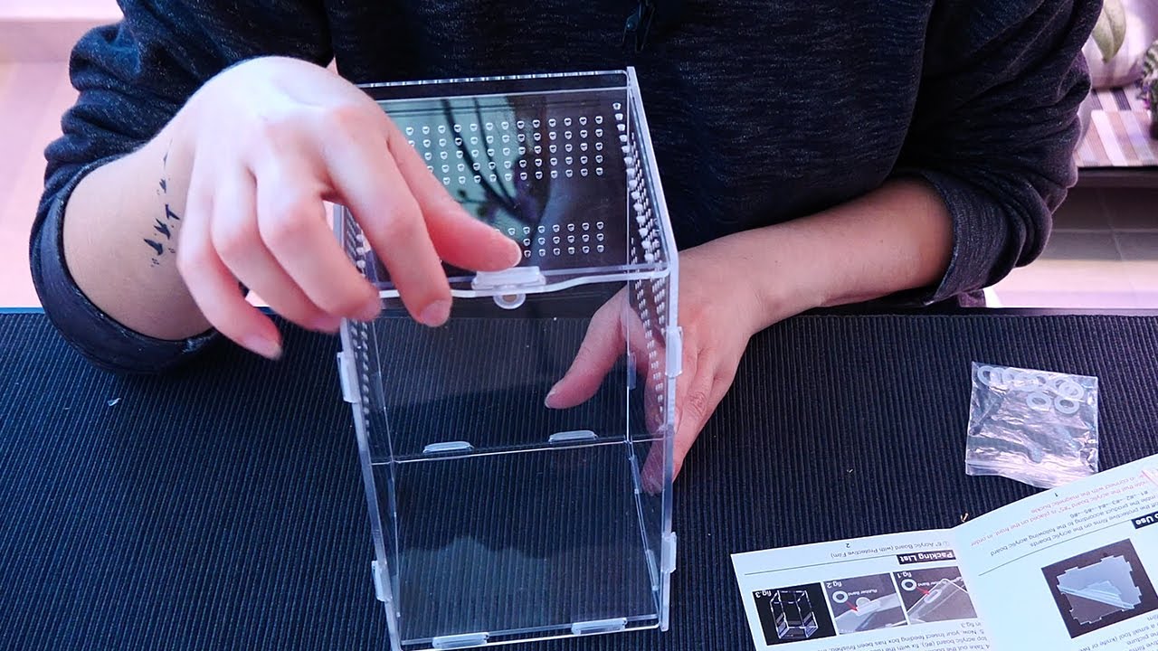 Assembling a small praying mantis enclosure from Amazon - Cute Mini Terrarium