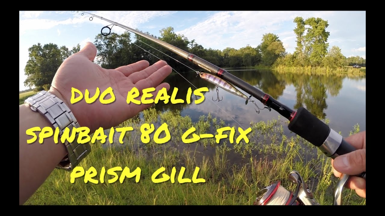 Spybaiting with Duo Realis Spinbait 80 G-Fix Spybait