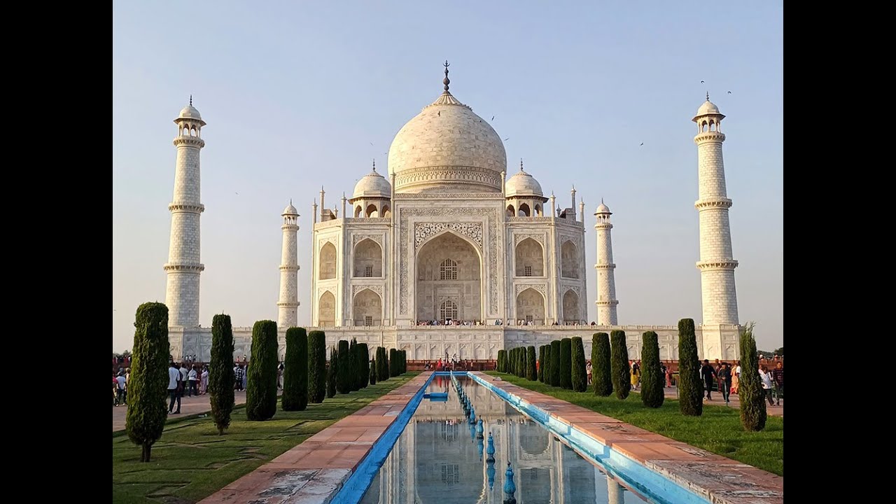 TIGERS & TAJ MAHAL INDIA 2024