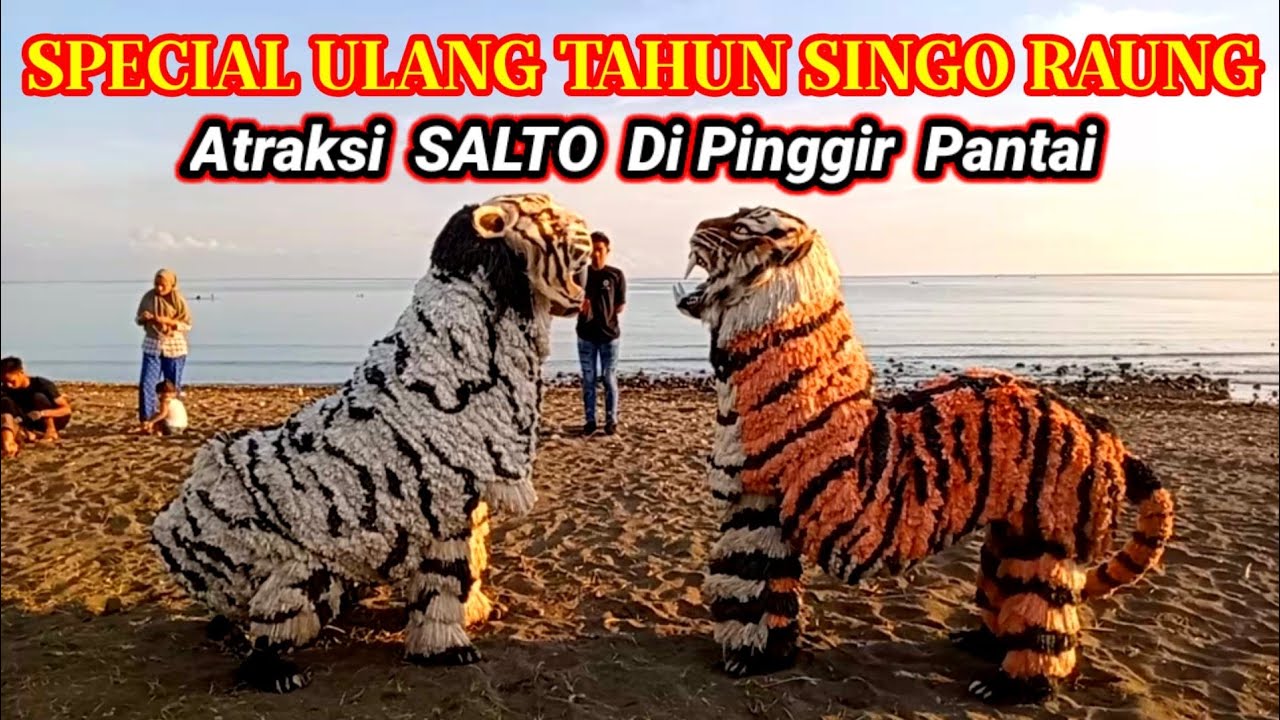 SPECIAL ULANG TAHUN SINGO RAUNG BERMAIN CAN MACANAN DI PINGGIR PANTAI