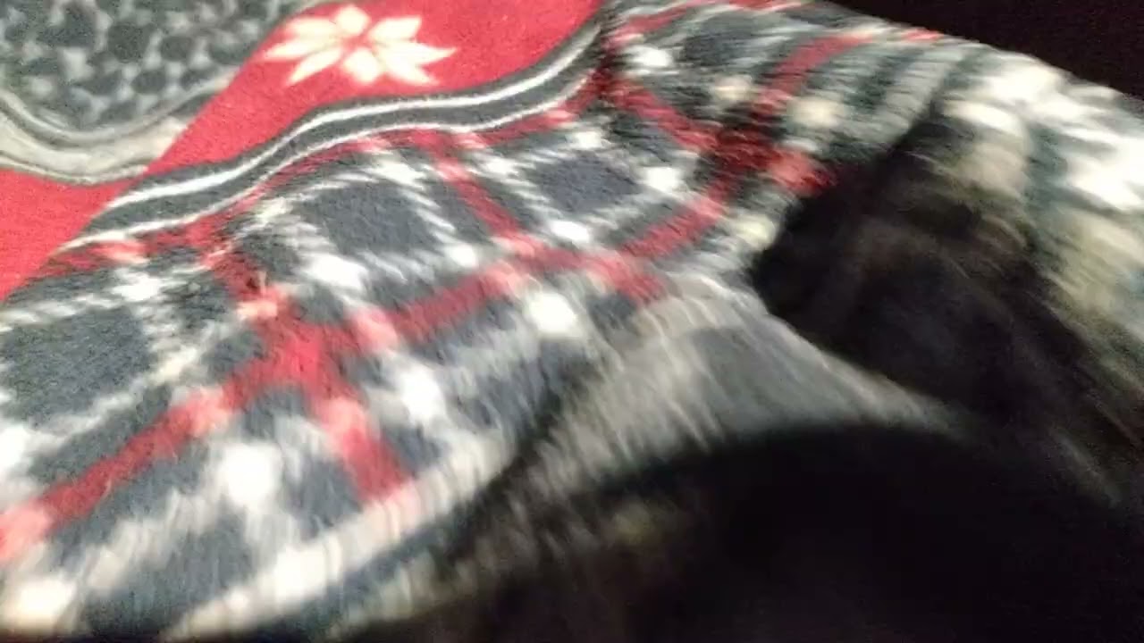 TV8 - Nowa Czołówka 1 sezonu serialu ,, Złe, kryją się zmartwienia 