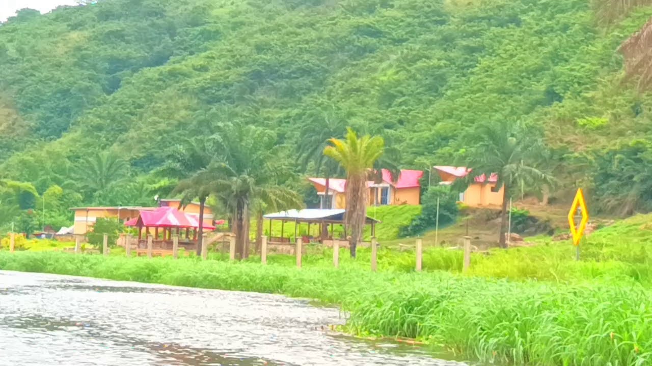 les terrains agricoles à Madimba  Kongo central