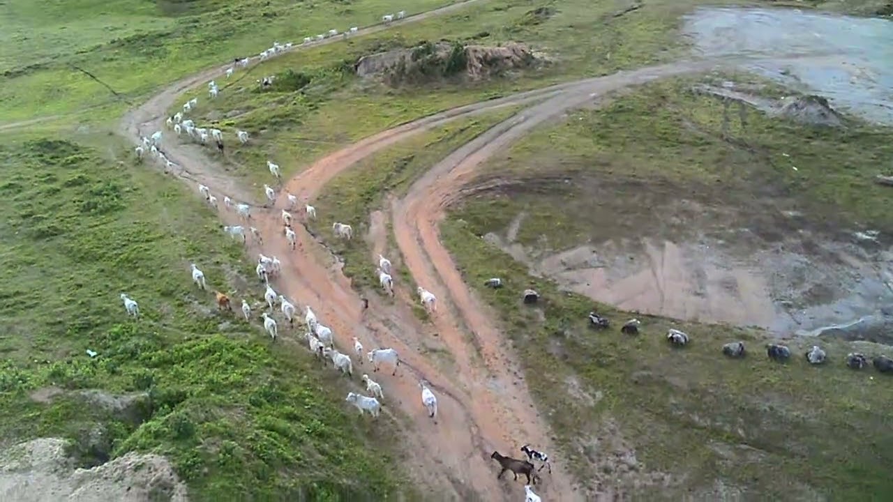Drone sx1 long range 780m...