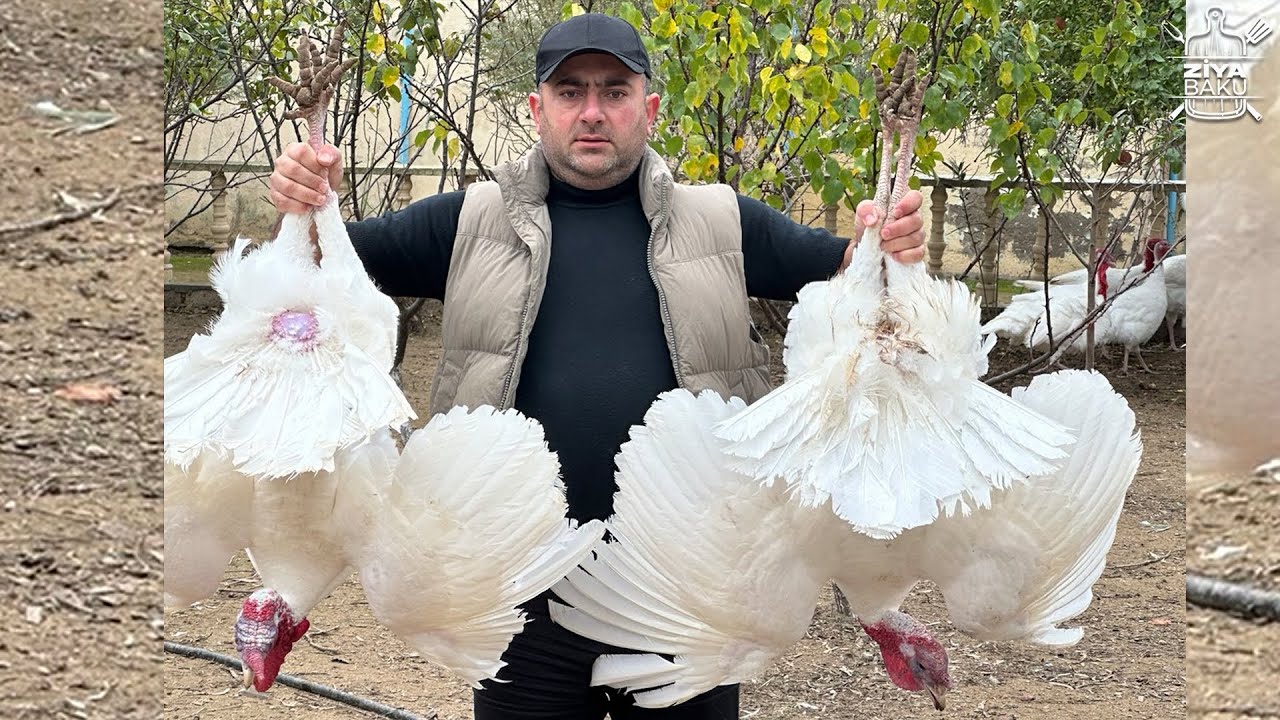İki böyük hinduşkadan uşaqlar üçün şirəli qovurma bişirdim 😋