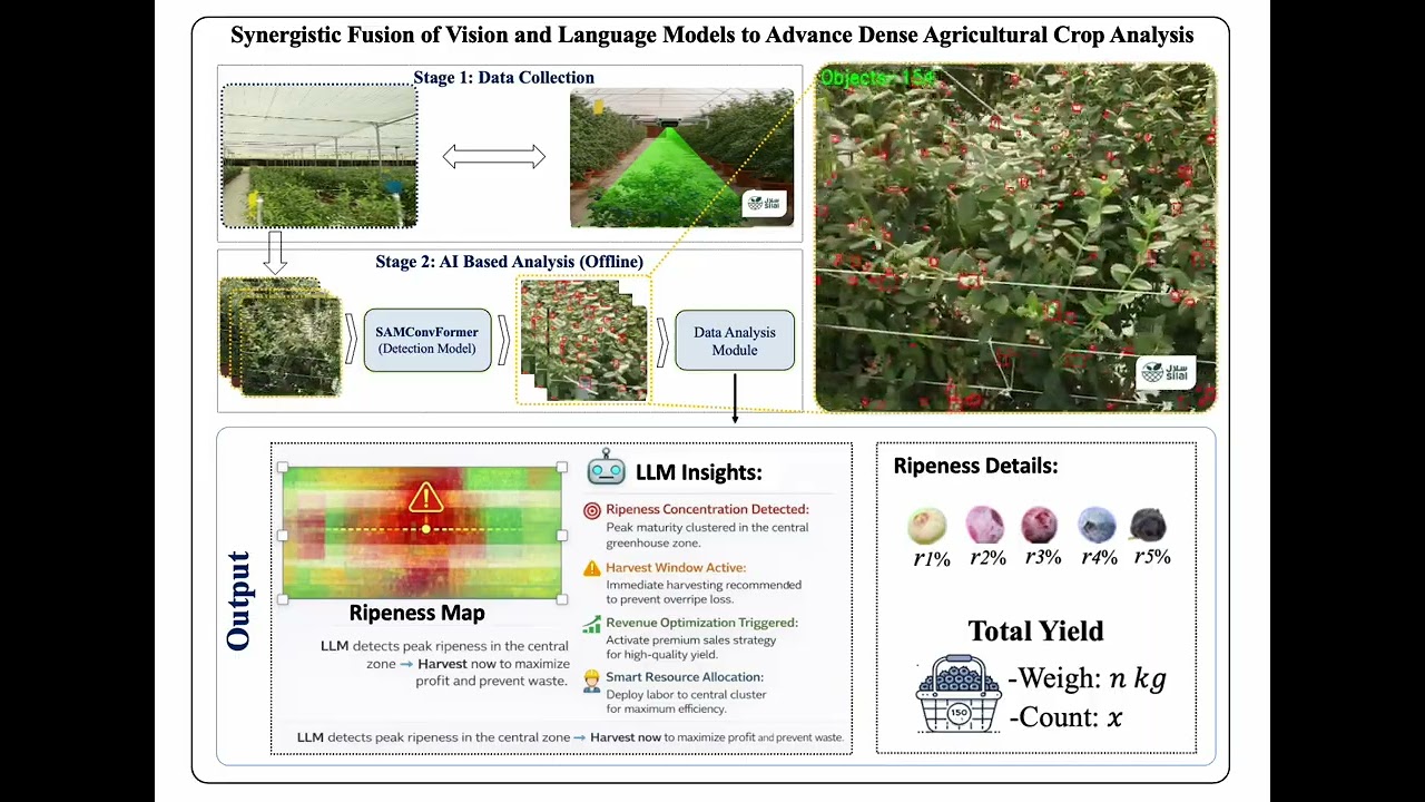 Synergistic Fusion of Vision and Language Models to Advance Dense Agricultural Crop Analysis