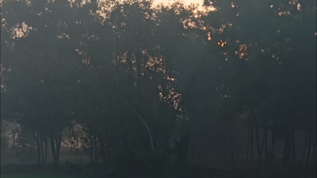 Sporshita's Kitchen and Blogging   is live! রাতের লাইভে সবাইকে স্বাগতম ❤🥰