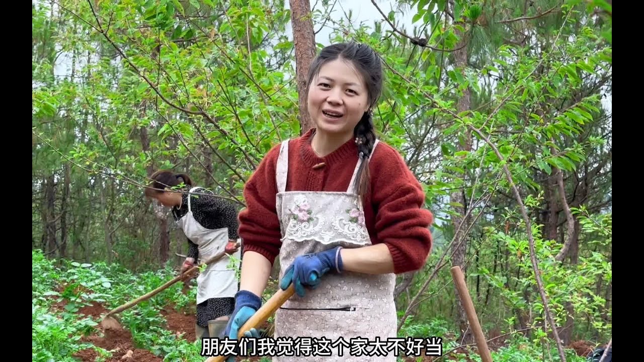 结婚三年第一次种洋芋，简直是很失败，这个家还是不好当啊#记录真实生活 #新农人计划2023 #三农 #我的乡村生活 #农村美食