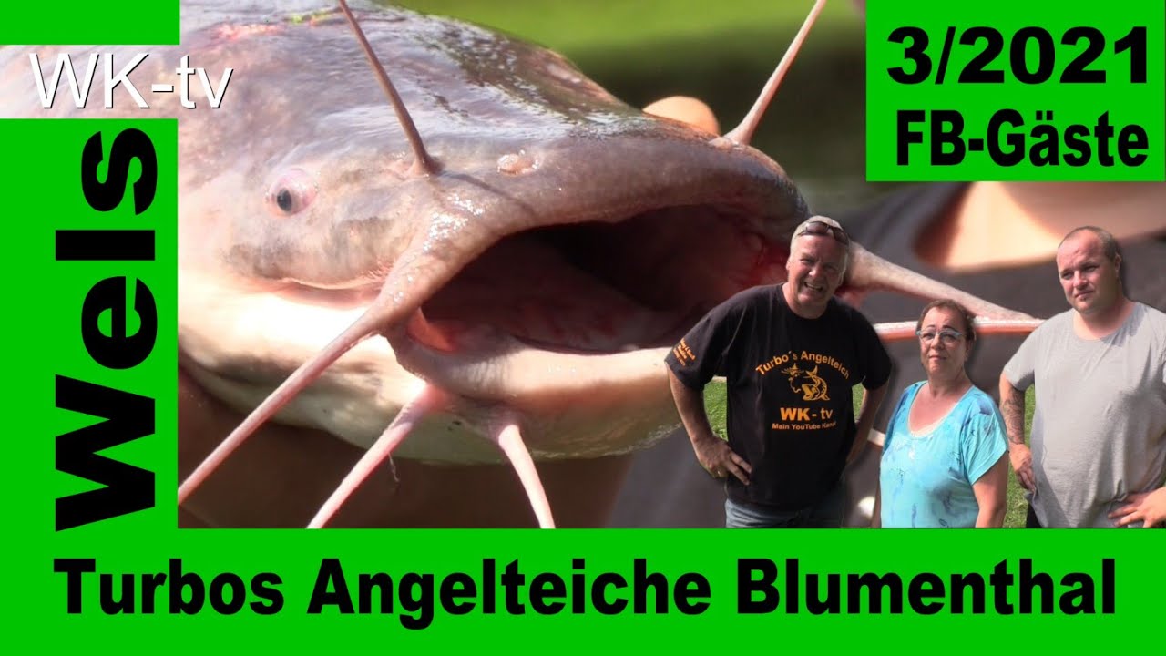Turbos G&auml;steangeln 2021 - Afrowelse, St&ouml;r und K&ouml;der am Angelteich in Blumenthal - Was ist mit Leber?