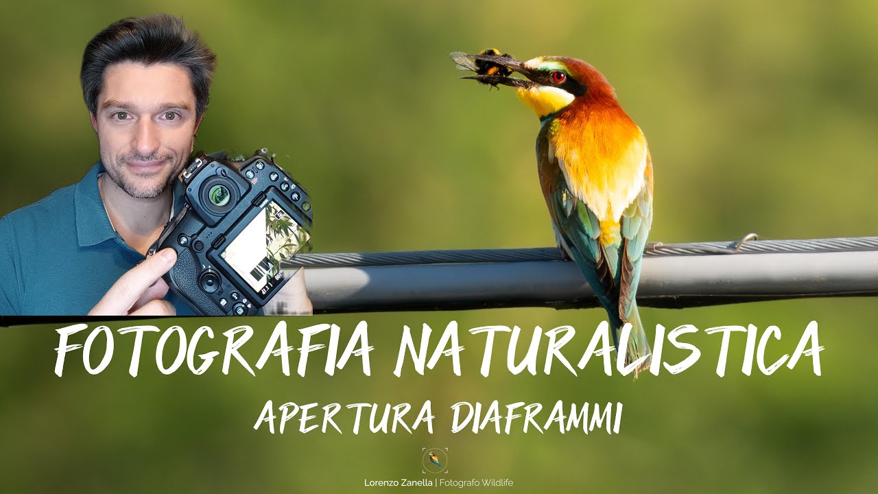 Fotografia naturalistica: il DIAFRAMMA spiegato bene (con esempi reali)