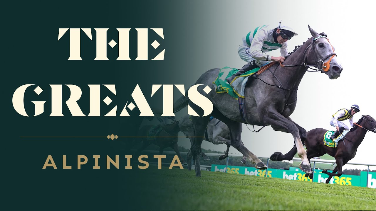 The remarkable career of a gritty grey racehorse... Alpinista