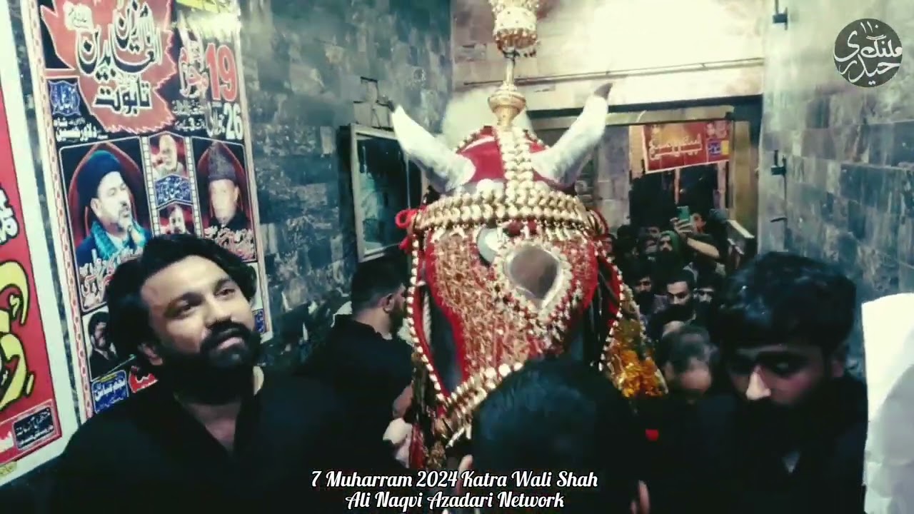7 Muharram 2024 | Zairat Zuljanah Shaheen Baba | Katra Wali Shah Lahore @AliNaqviAzadariNetwork