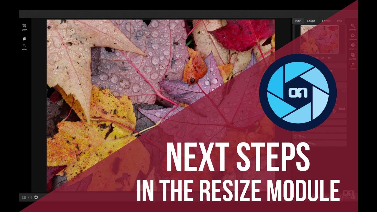 Next Steps in Resize – Photo RAW
