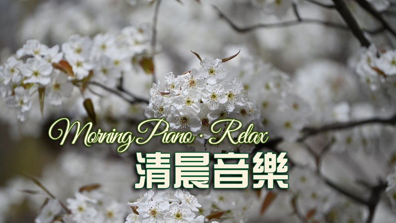 4K 钢琴为花写下的温柔祈愿 · A Piano’s Gentle Prayer for the Flowers #music #relaxing #放松 #冥想 #睡眠 #轻音乐