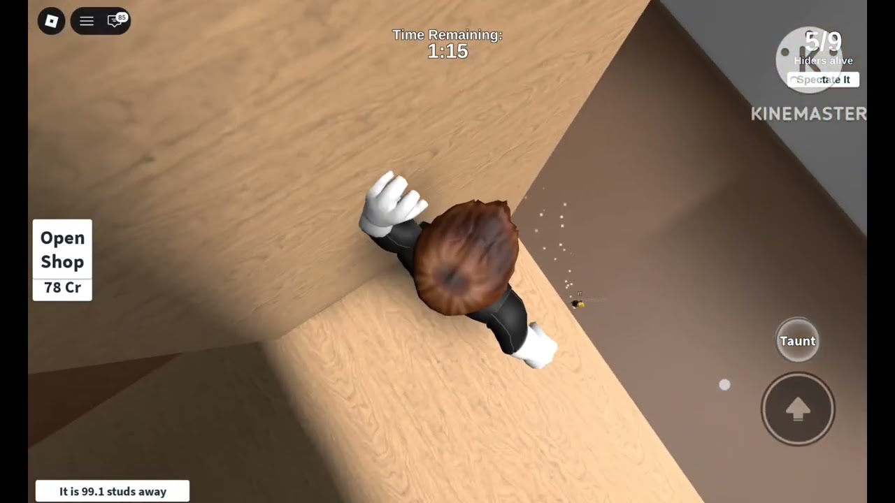 I ws a seeker and seeking the hiders in roblox extreme hide and seek. 