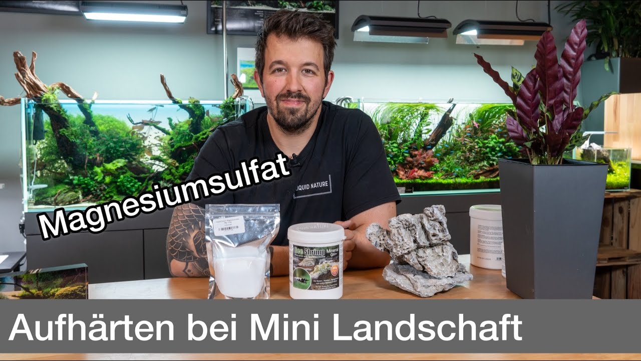 Osmosewasser richtig aufsalzen bei Mini Landschaft! | Liquid Nature