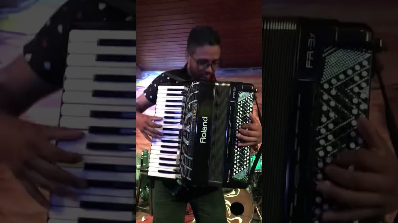 Ricardo Lima Sanfoneiro - Feira de Mangaio
